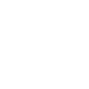演示图标